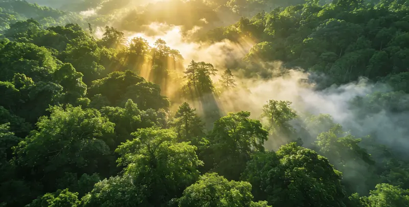 果洛肺癌172基因检测图片1